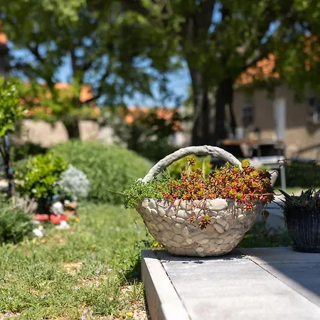Hébergement de vacances House Zezevica